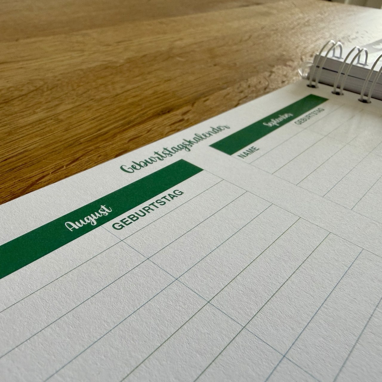 Stundenplan-Vorlagen-Seiten der dream. plan. teach. Agenda